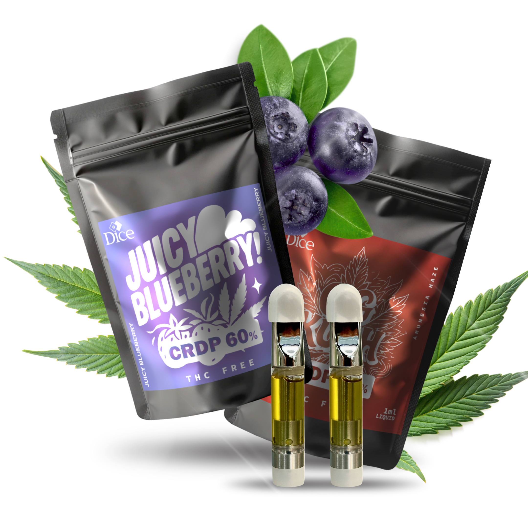 CRDP – DICE - CBD
