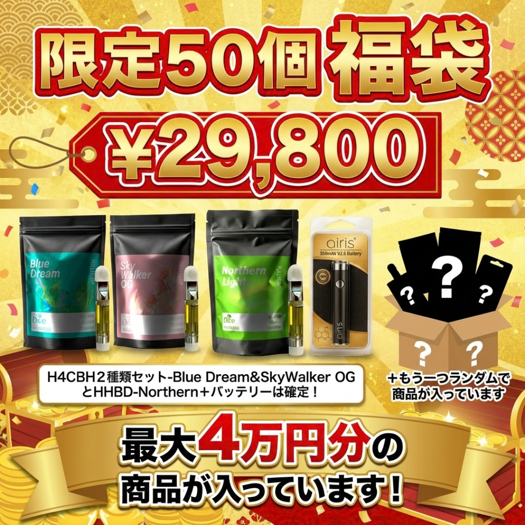 【限定50個】最大4万円相当入り！DICE プレミアム福袋セット